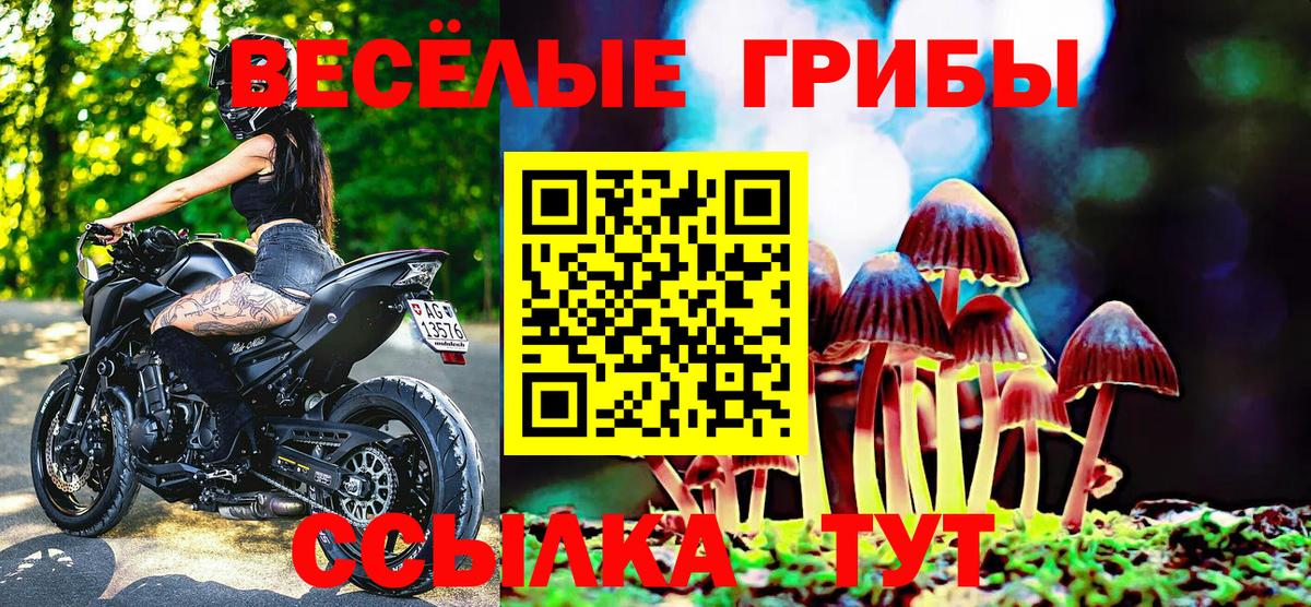 Галлюциногенные грибы ЛСД Сланцы